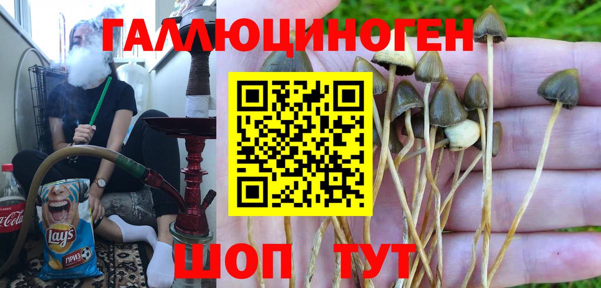 Псилоцибиновые грибы мухоморы  Галлюциногенные грибы Cubensis  Вход с VPN  Десногорск 